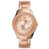 Fossil FES3590 Kadın Kol Saati 2 FES3590